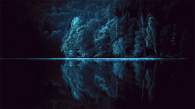 Dark forest