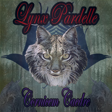 Lynx Pardelle - Cornicem Caedre
