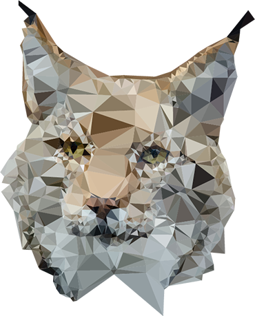 Lynx vector