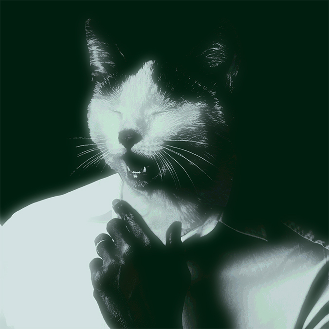 ManCat night
