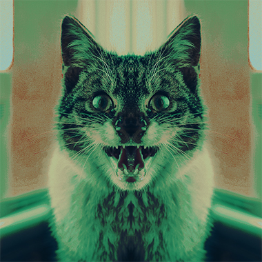 Mwiaugh