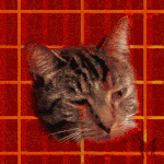 Cathead
